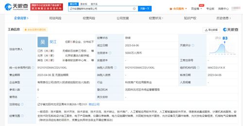 信息系統集成服務的價值與核心要素